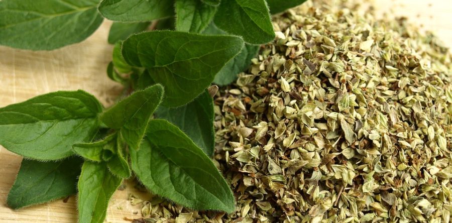 5 Erbe in cucina