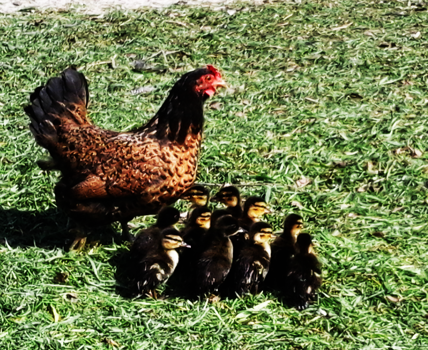 Agriturismo I Quarti a