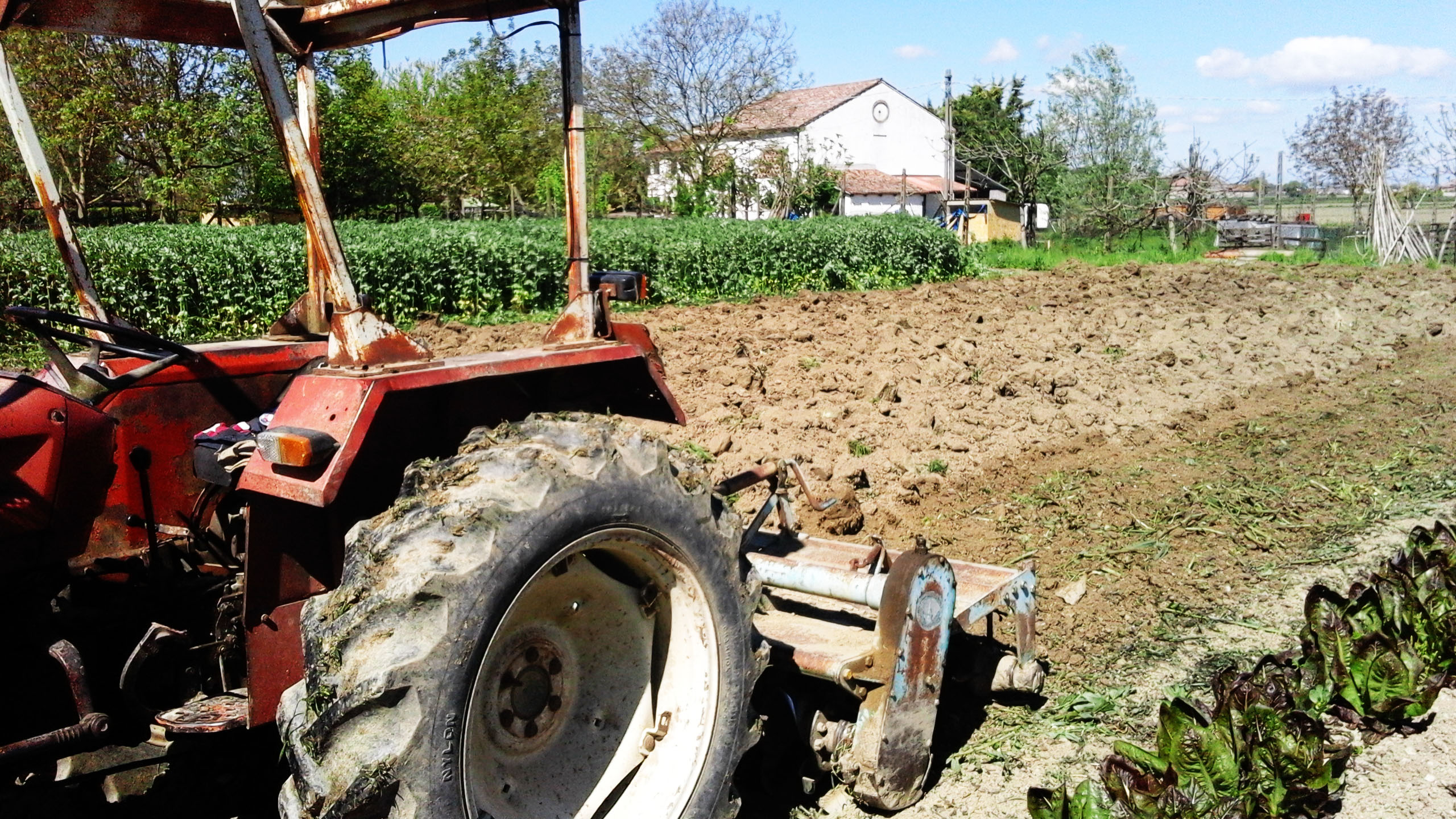 Agriturismo i Quarti Fattoria Didattica 31