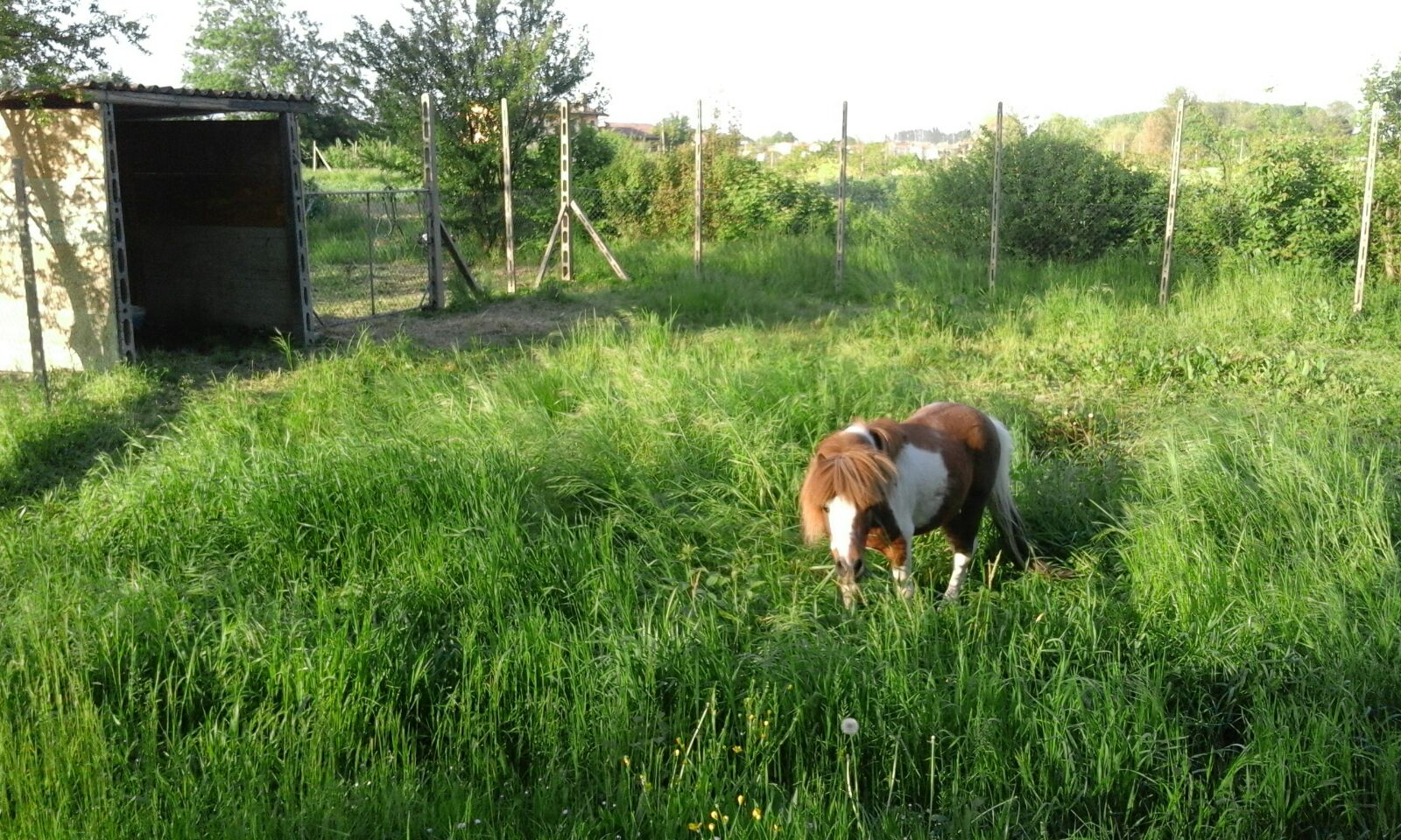 fattoria didattica agriturismo i quarti 24